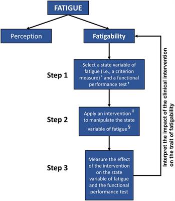 Clinical Assessment of Fatigability in Multiple Sclerosis: A Shift from Perception to Performance